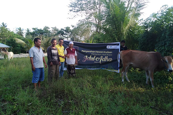 Ahead of Eid al-Adha, PT MSM and PT TTN Handed-Over Dozens of Cows to Mosques, Governments in Minut and Bitung